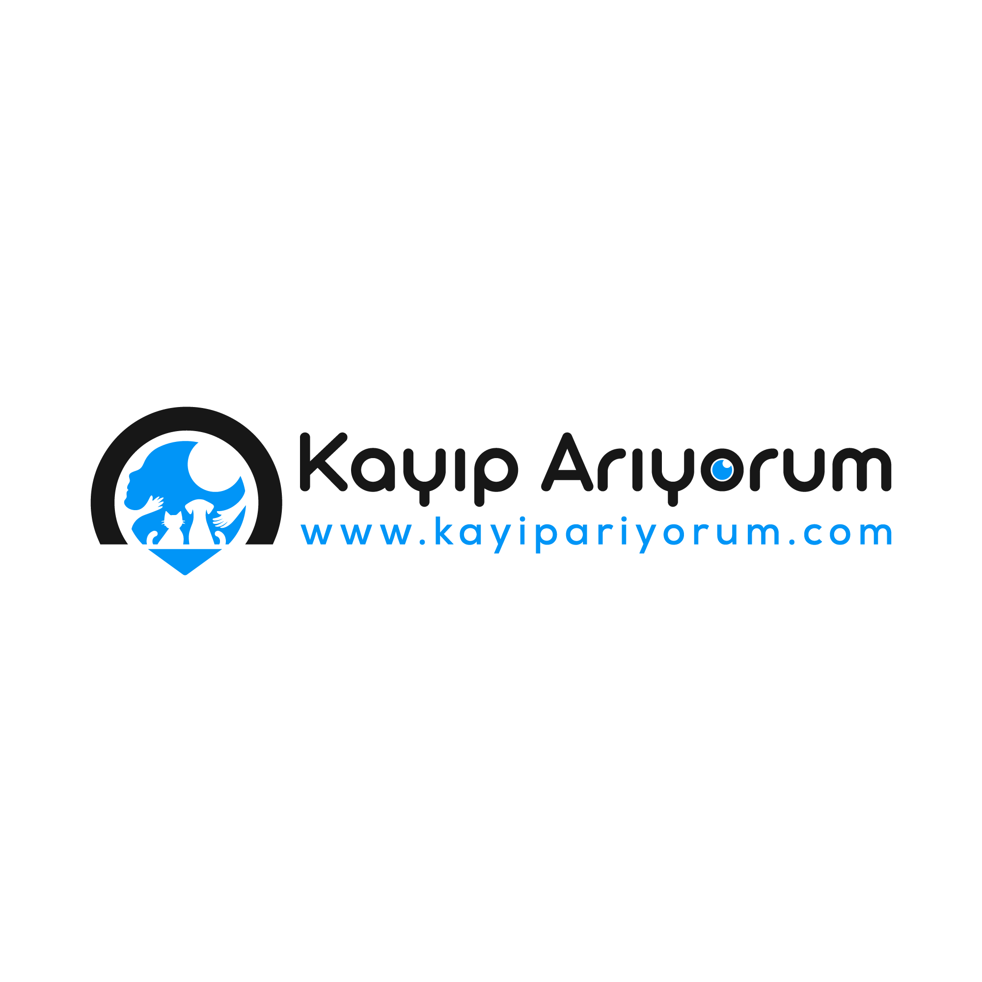 www.kayipariyorum.com logo